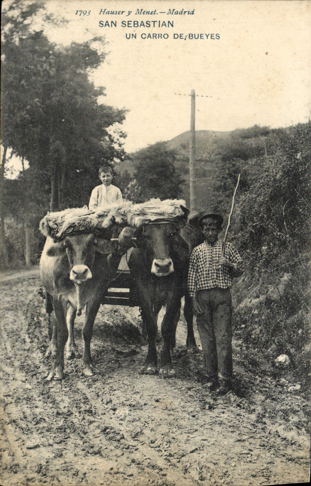 VINTAGE POSTCARD San Sebastian Carro de Bueyes Coach Oxen TOP