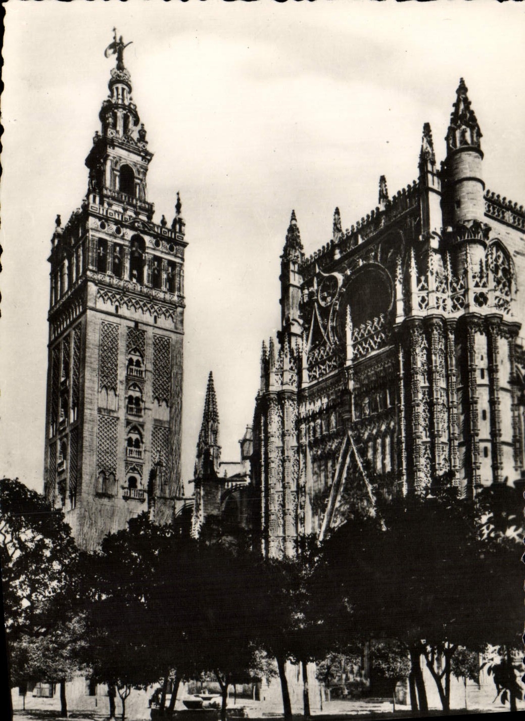 CPM Sevilla Patio de los Naranjous Catedral