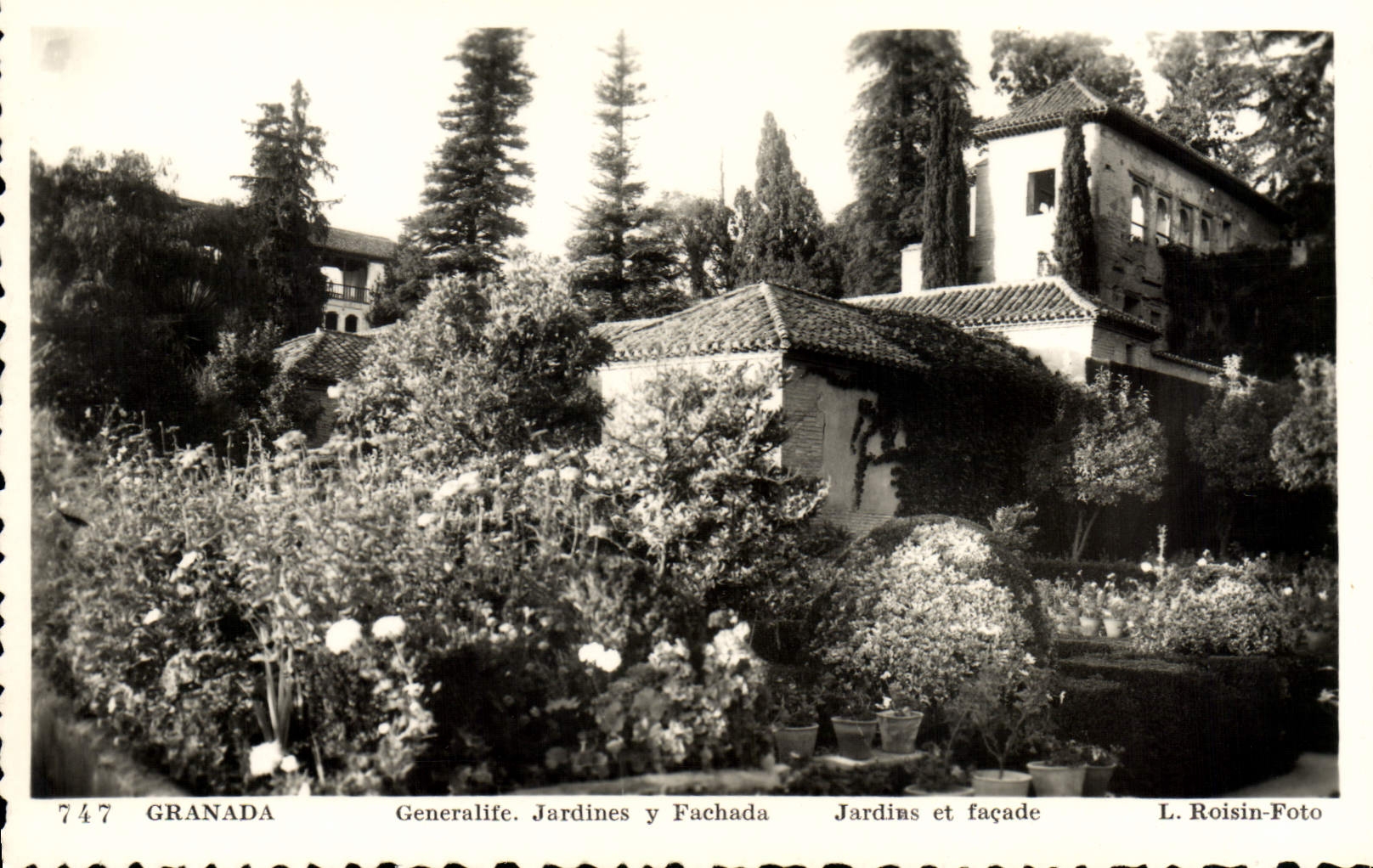 CPA Granada Generalife Jardines y Fachada