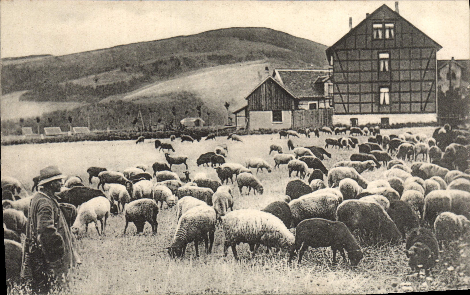 VINTAGE POSTCARD Shepherd and sheep