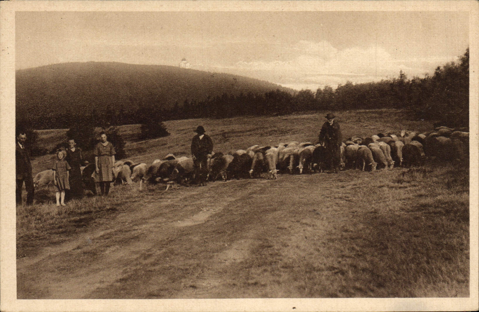 Niño de las ovejas del pastor del Na Radhosti de la pieza de la POSTAL de la VENDIMIA