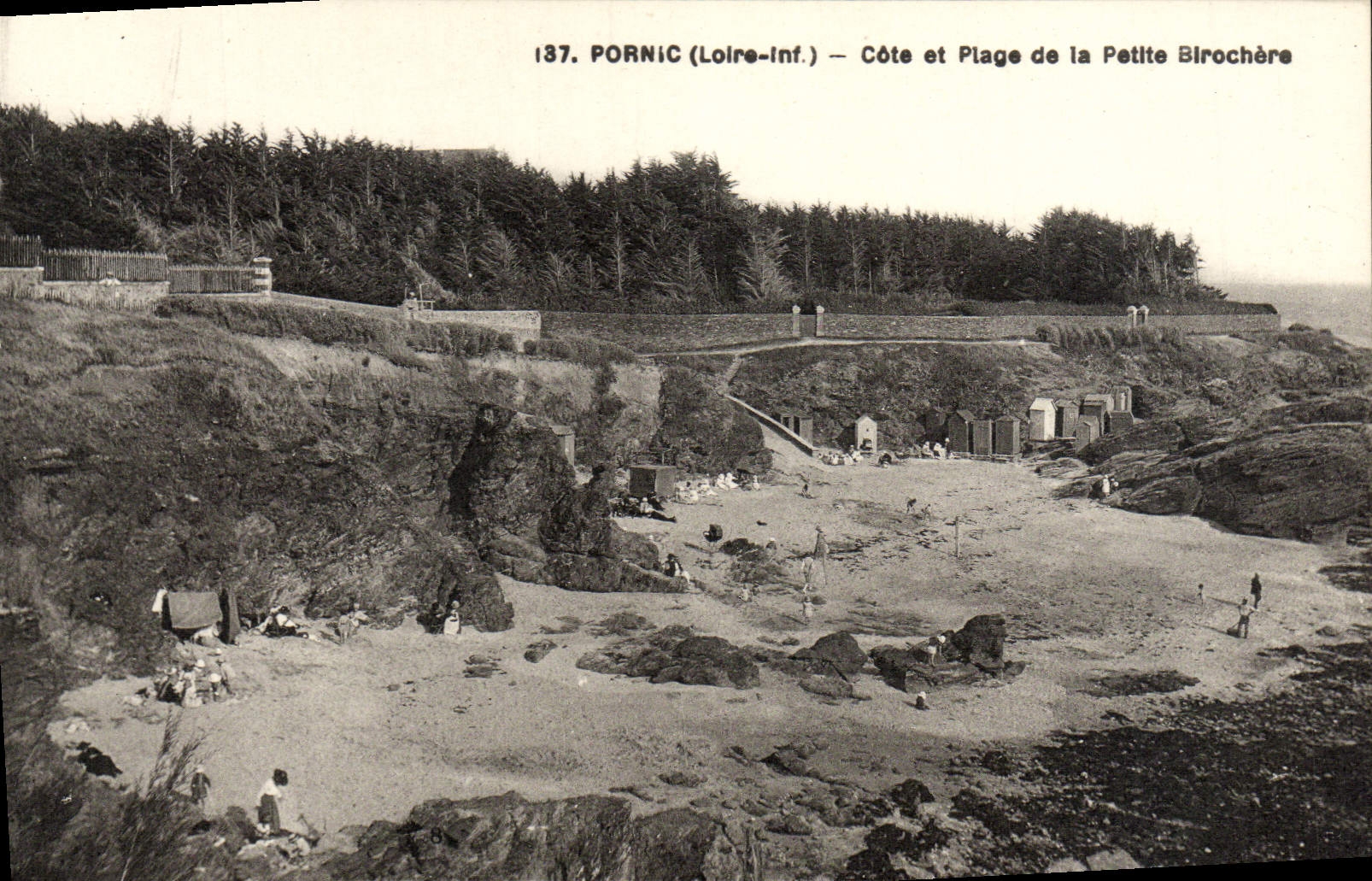 CPA Pornic Cote Et Plage De La Petite Birochere