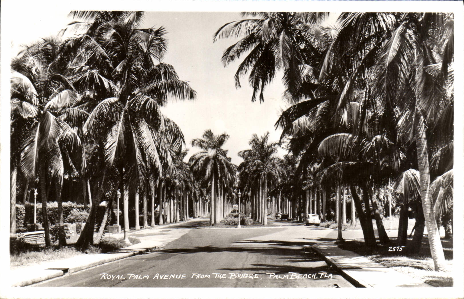 CPA Royal Palm avenue From The Bridge Palm Beach Fla