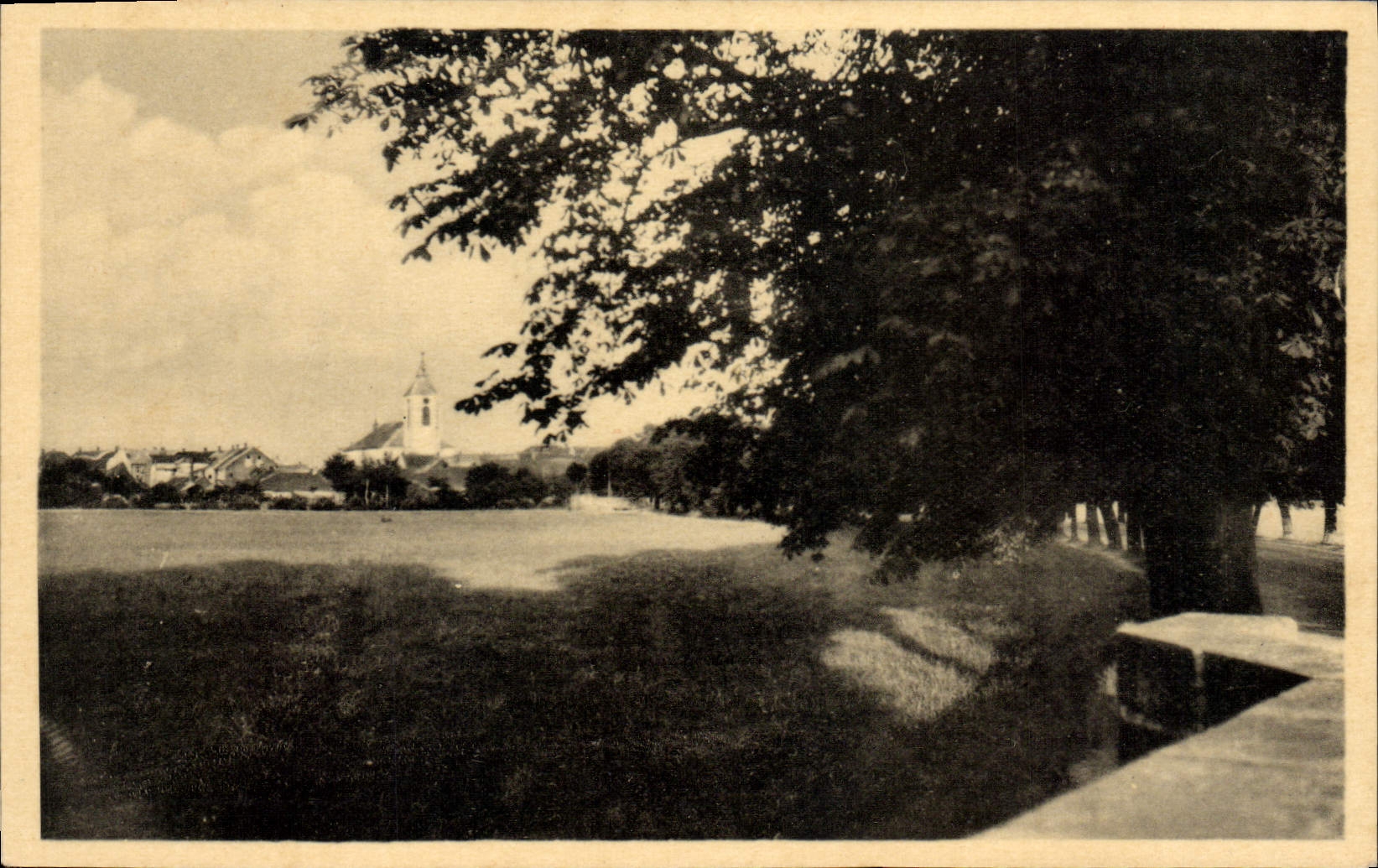 POSTAL Nechanice de la VENDIMIA