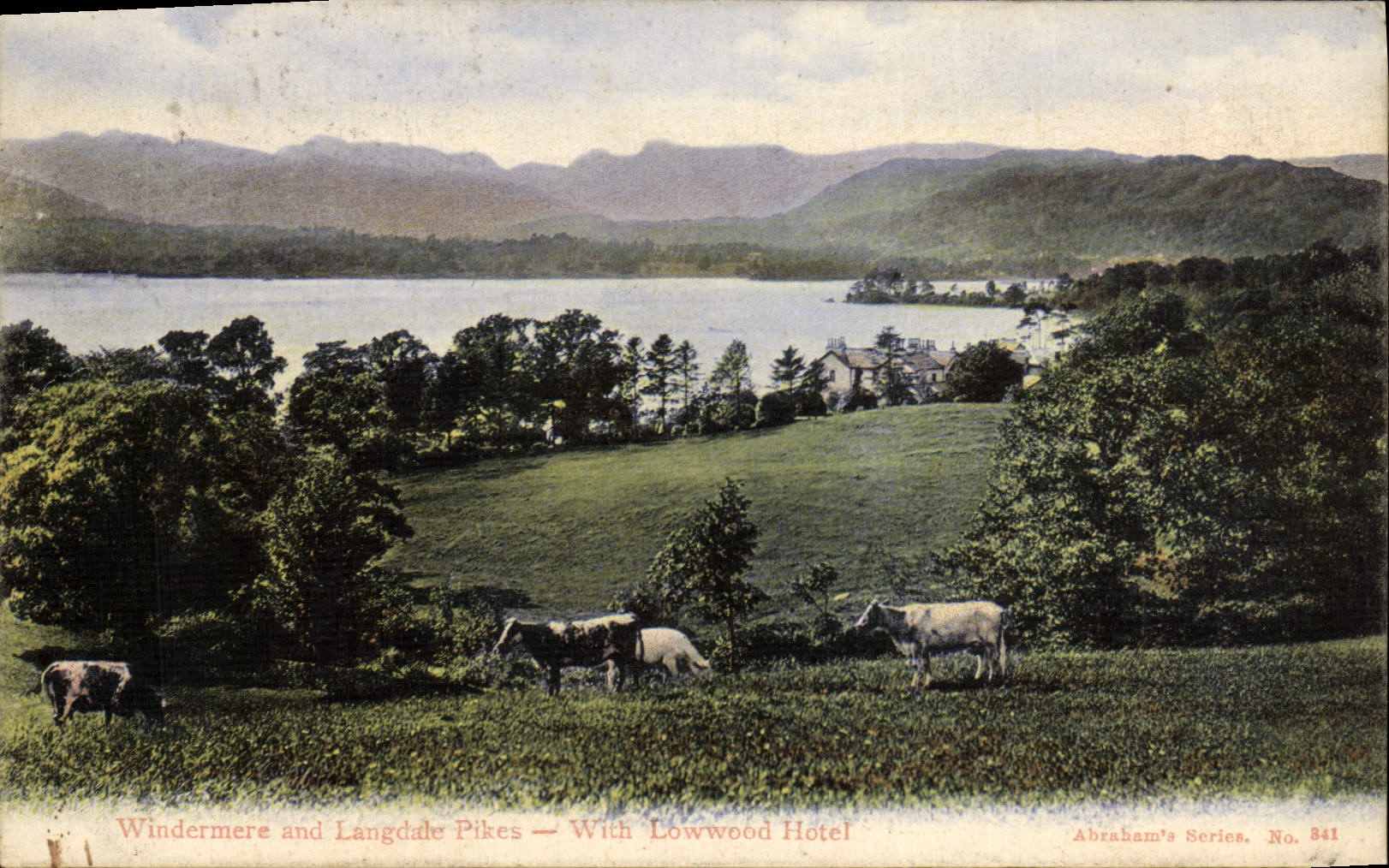CPA Windermere And Langdude Pikes With Lowwood Hotel Vaches