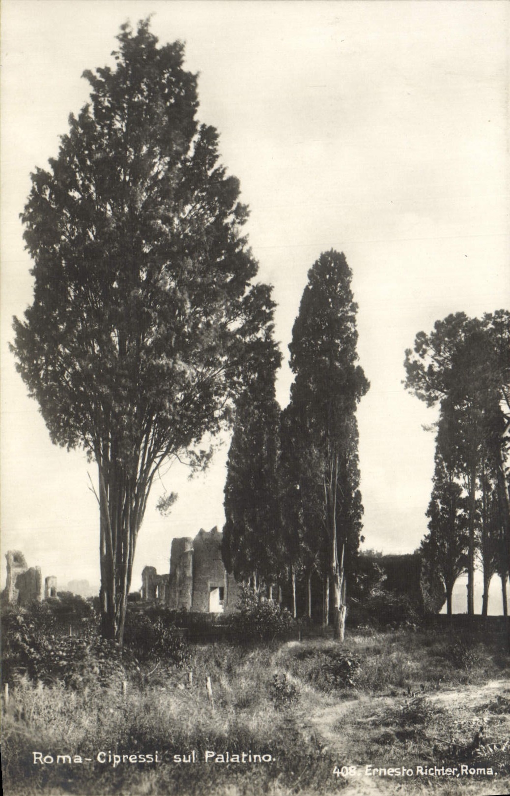 Palatino del sul de Roma Cipressi de la POSTAL de la VENDIMIA