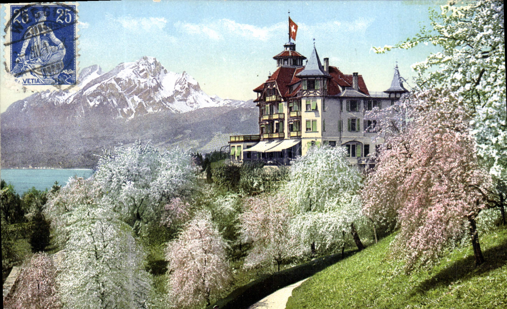CPA Weggis a Vierwaldstattersee Hotel Alpenblick mit Pilatus wahredn deer Baumblute