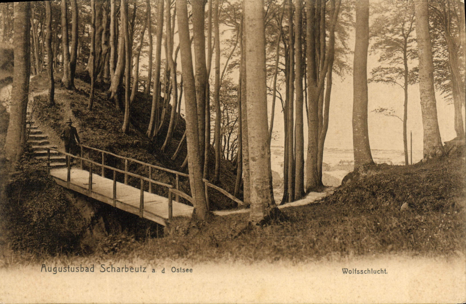 CPA Augustusbad Scharbeulz D Ostsee Wolfsschlucht
