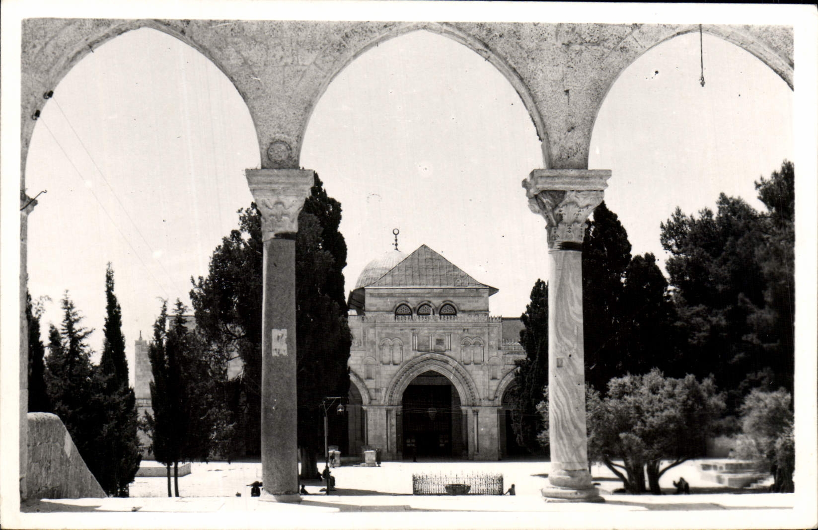 MODERN CARD Mosque Of El Alea Is