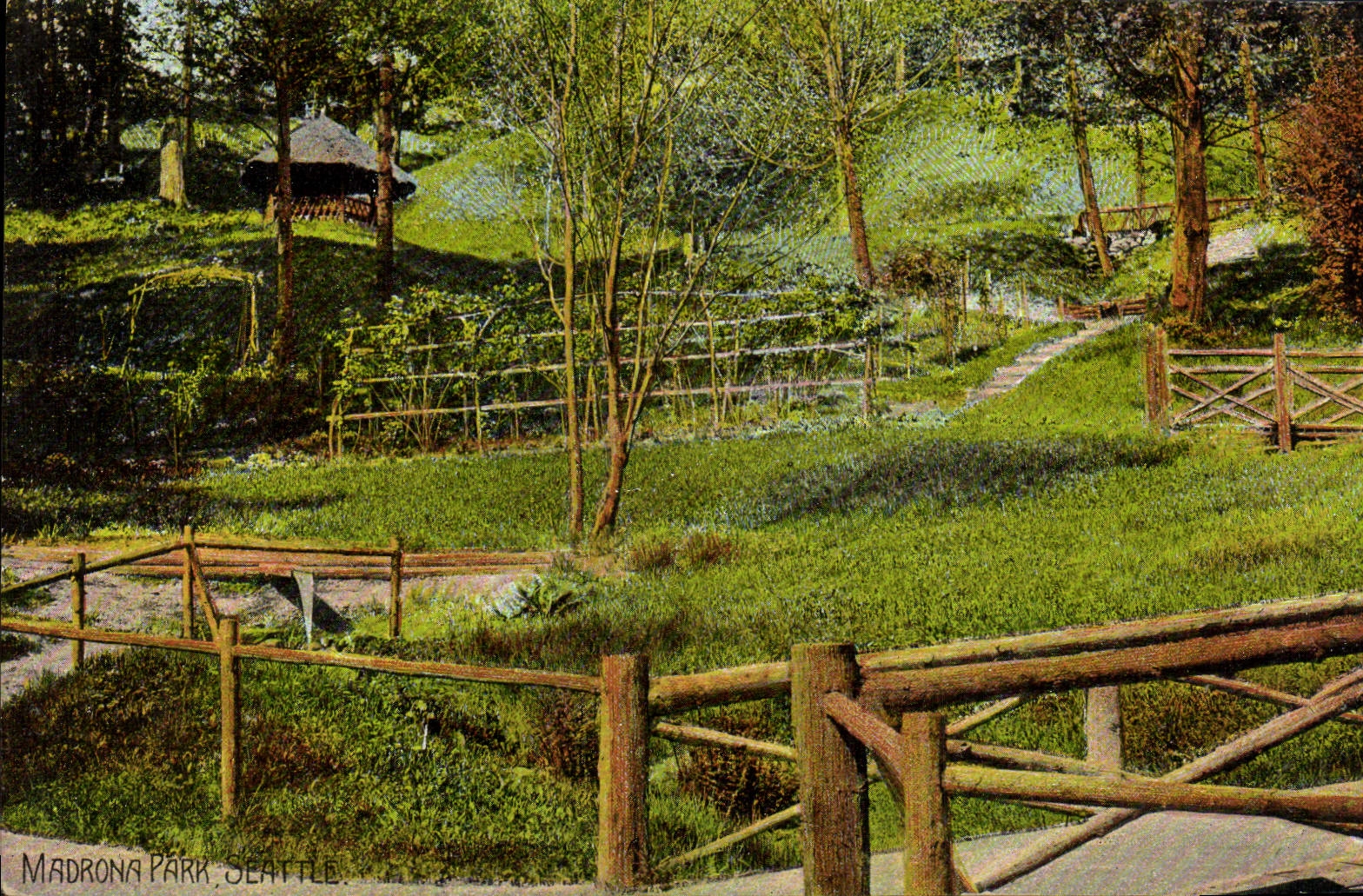 VINTAGE POSTCARD Madrona Park Seattle