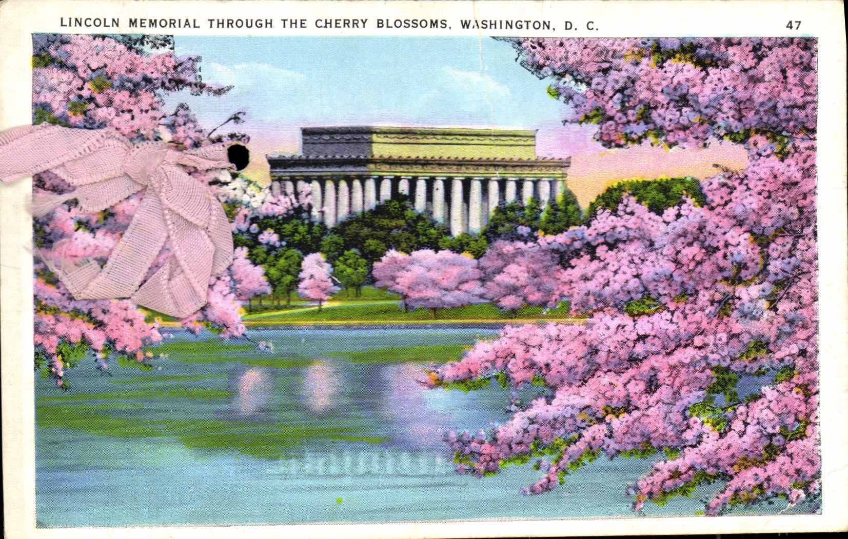 CPA Lincoln Memorial Through The Cherry Blossoms Washington D C