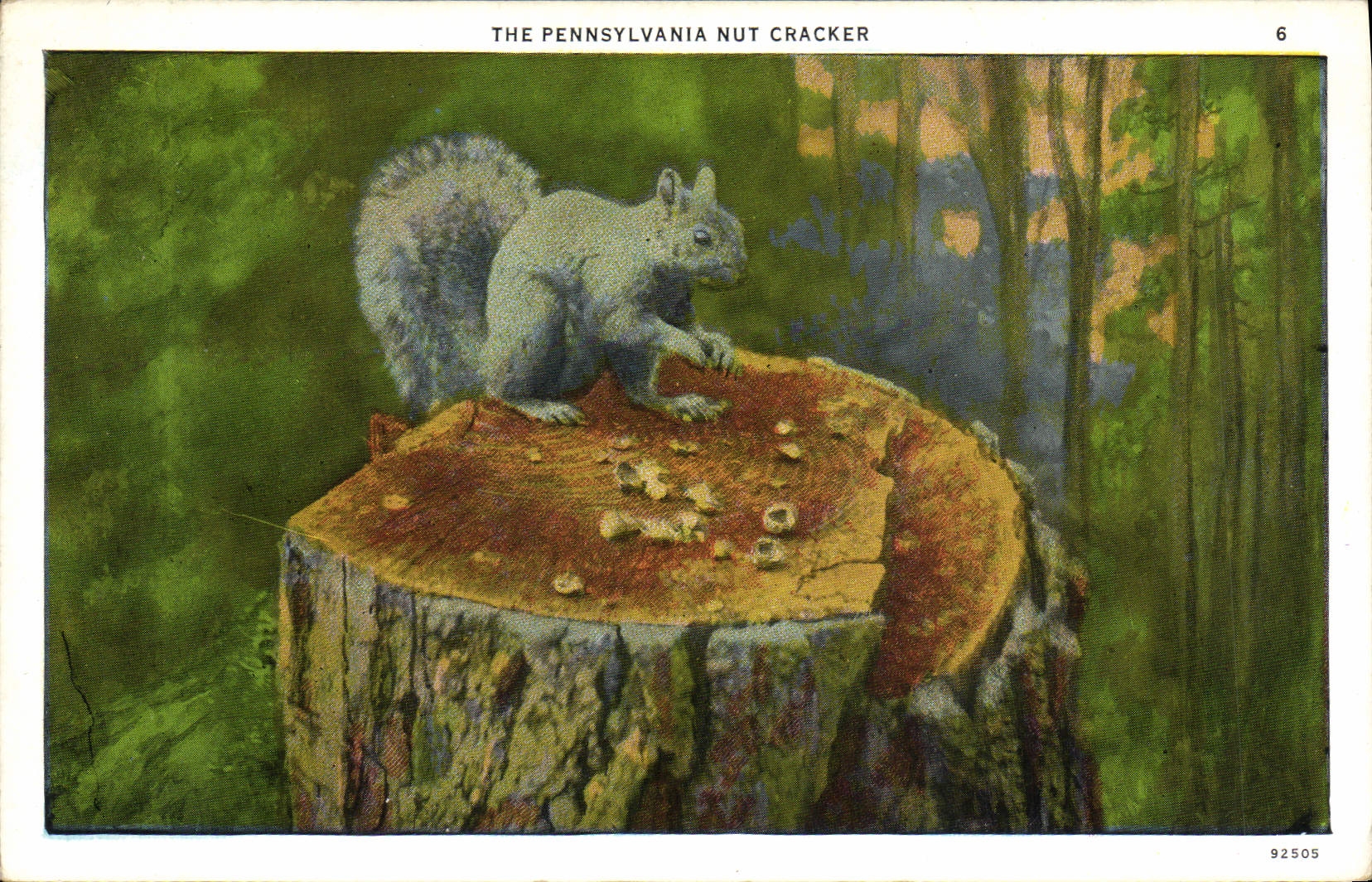 VINTAGE POSTCARD The Pennsylvania Nut Cracker Squirrel