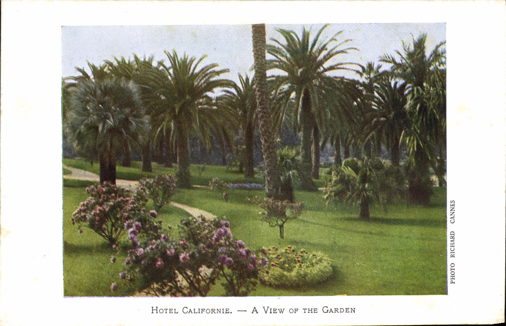 CPA Hotel Californie A View Of The Garden