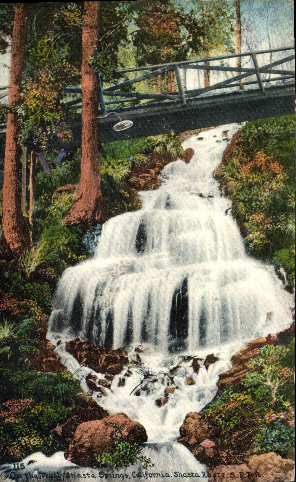 CPA On The Trail Shasta Springs California Shasta Route