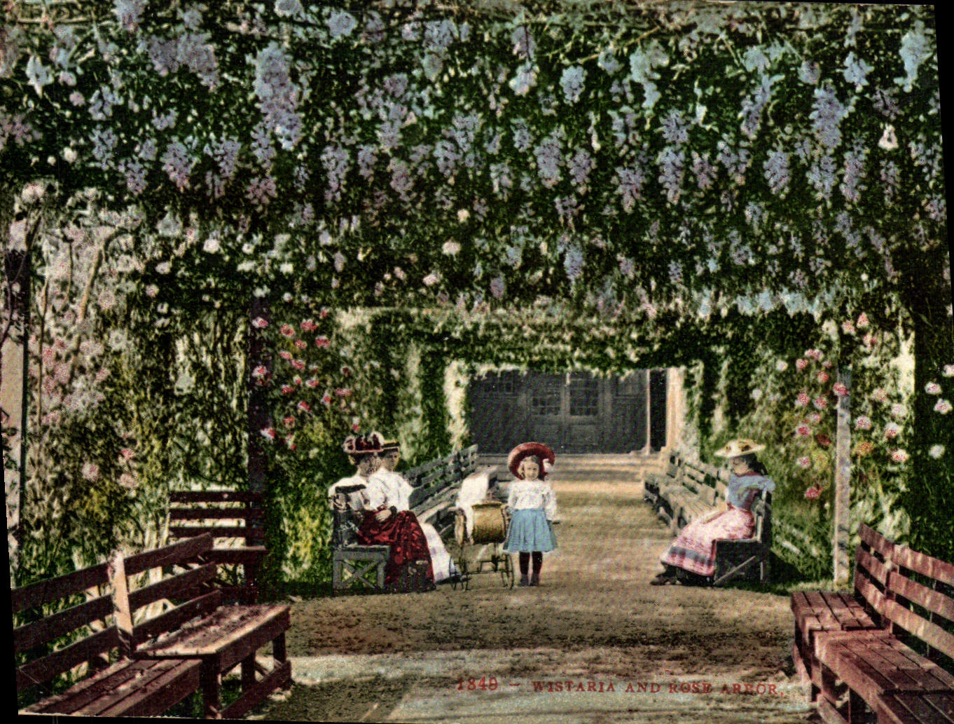 CPA Wistaria and Rose Arbor 