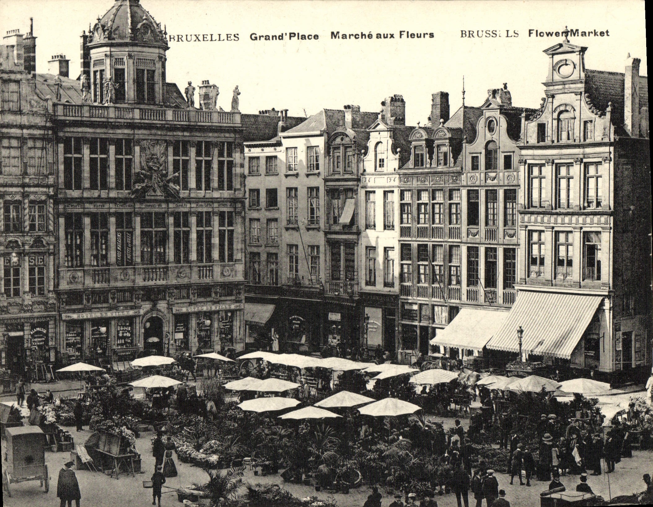 Mercado magnífico de gran tamaño de los lugares de Bruselas de la POSTAL de la VENDIMIA en las flores 18 * 14 cm