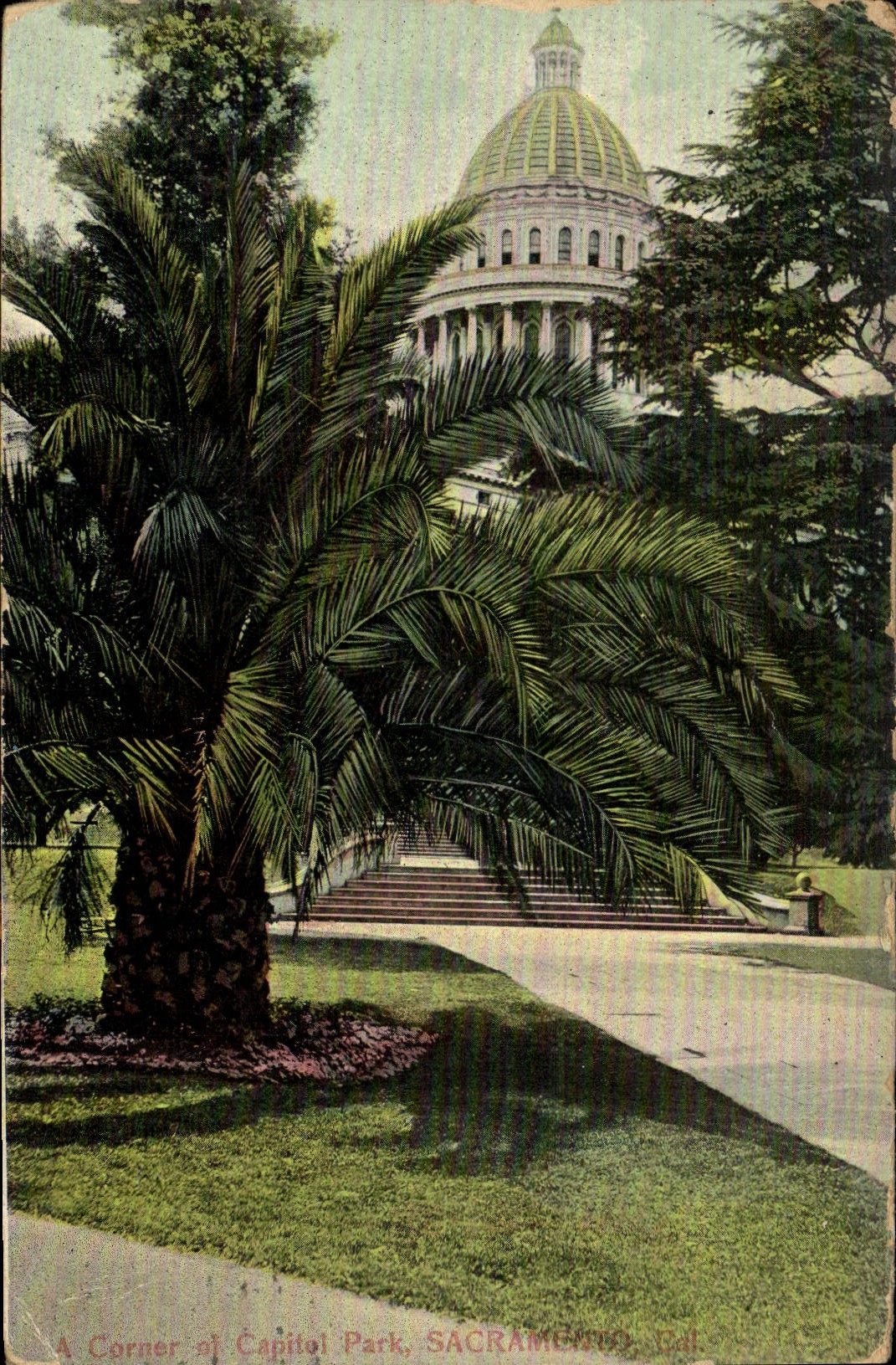 CPA A Sorner Of Capital Park Sacramento