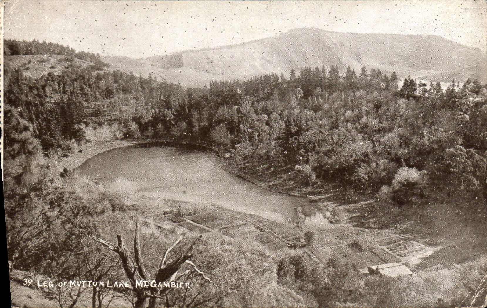 VINTAGE POSTCARD Lec Off Mutton Lake MT Gambier