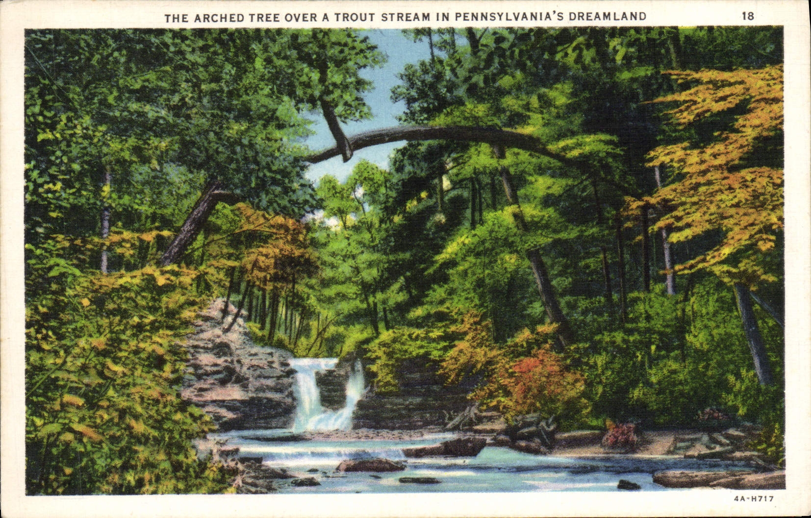 VINTAGE POSTCARD The Arched Tree Over has Trout Stream In Pennsylvania' S Dreamland