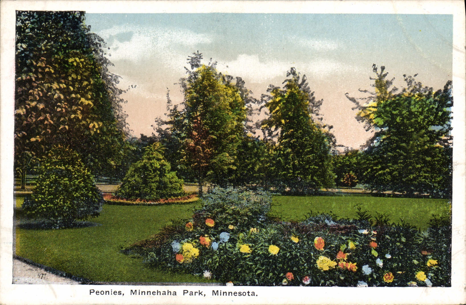 VINTAGE POSTCARD Peonies Minnehaha Park Minnesota