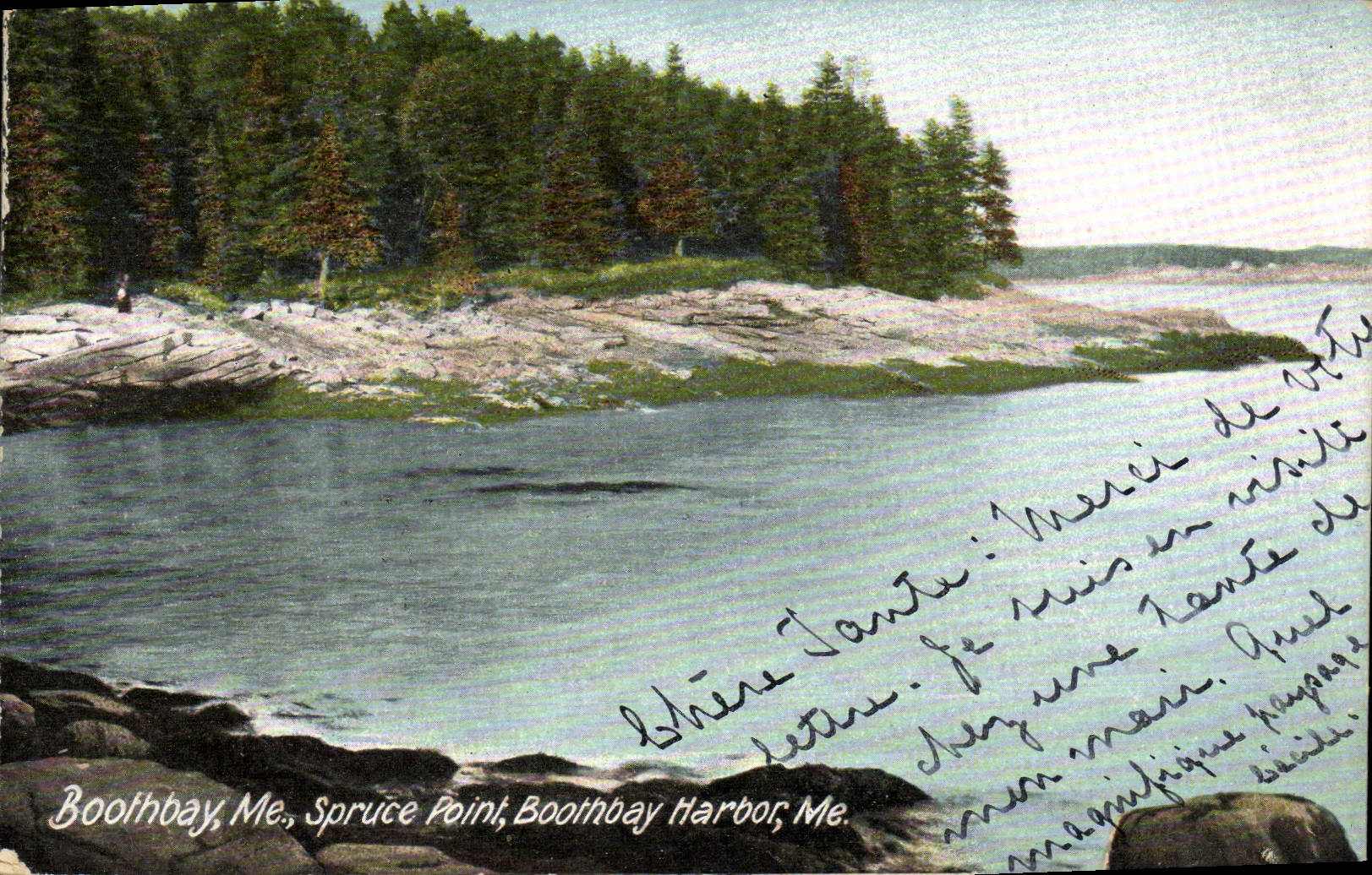 VINTAGE POSTCARD Boothbay Me Spruce Not Boothbay Harbor Me