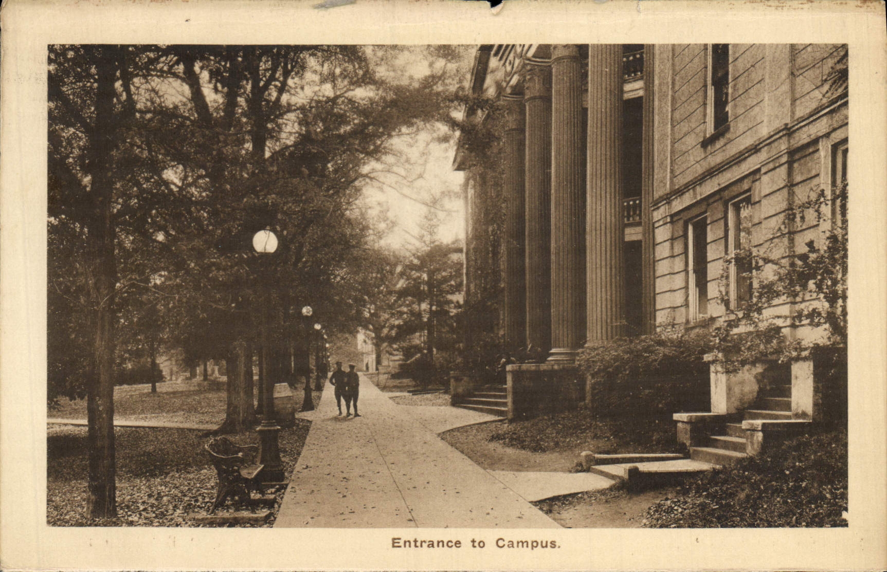 VINTAGE POSTCARD Fan-in To Campus