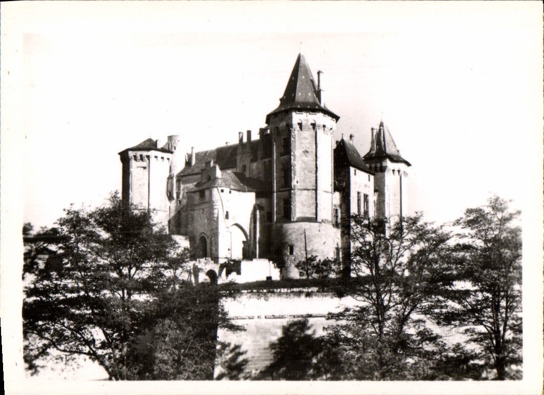 CPM Le Chateau De Saumur Facade Sud 
