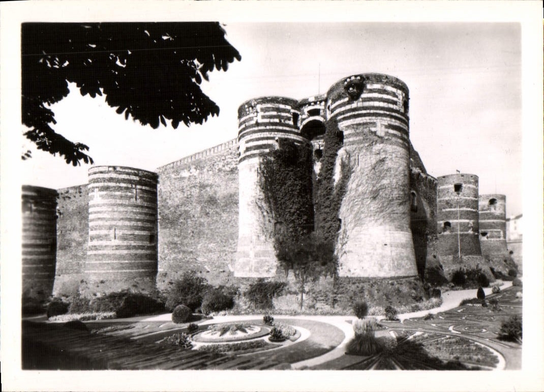 CPM Le Chateau d'Angers Vue sur les Tours et les Fosses