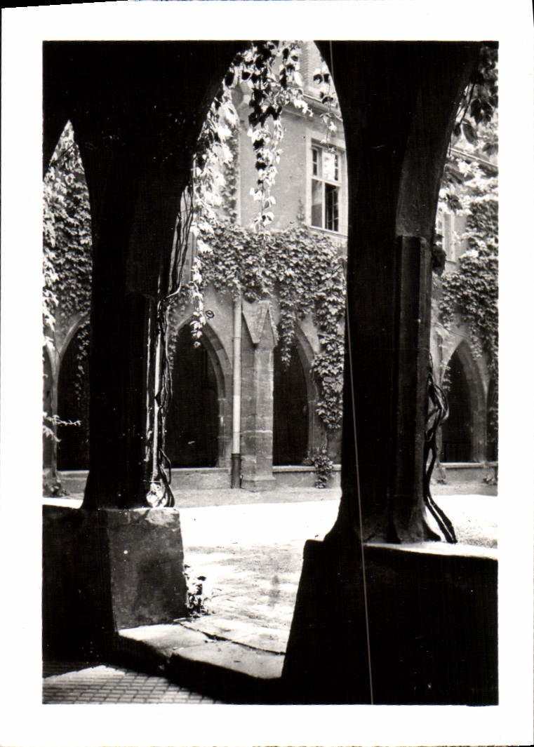 CPM Colmar Le Cloitre des Dominicains