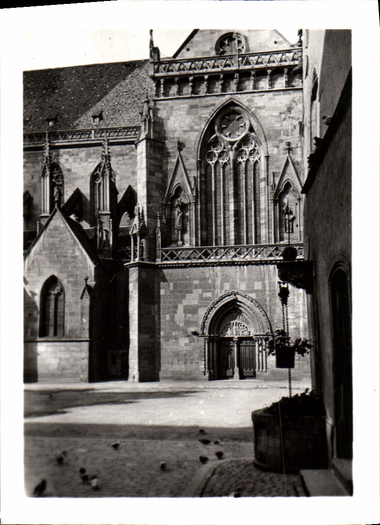 MODERN CARD Colmar Old well and transept of the Cathedral