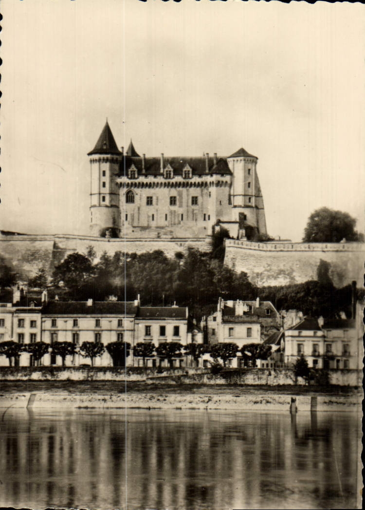 CPM Saumur La Loire le Quai Mayaud et le Chateau