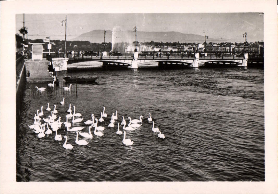 MODERN CARD Geneva the Lake Leman and the water Jet
