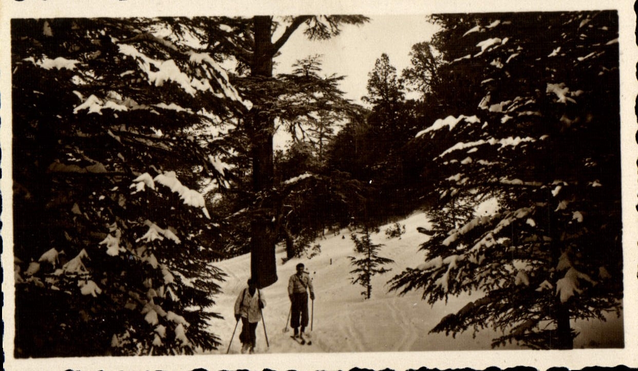 MODERN CARD Ifrane under Snow Skis In Mischliffen
