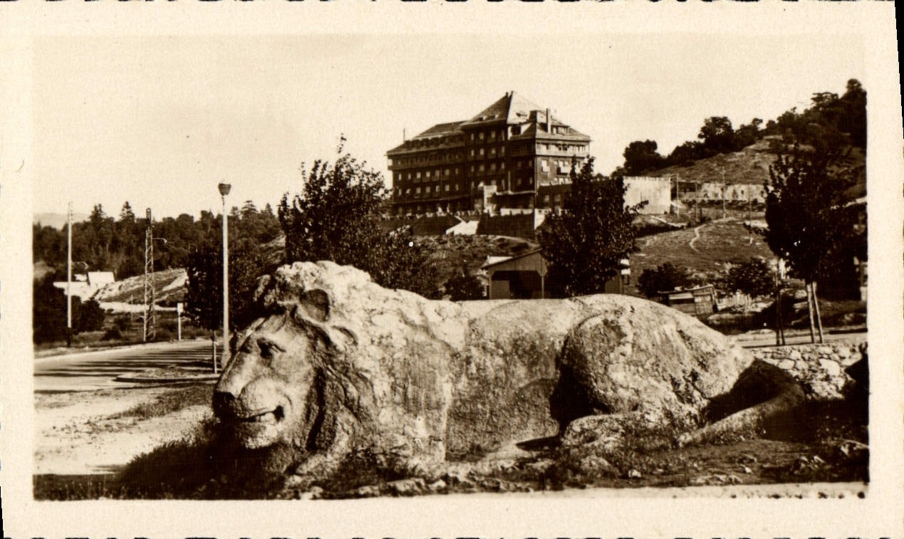 MODERN CARD Ifrane the Lion and the Balima Hotel