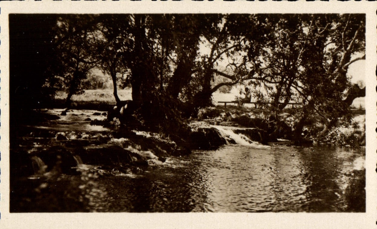 MODERN CARD Ifrane Wadi edges of trees
