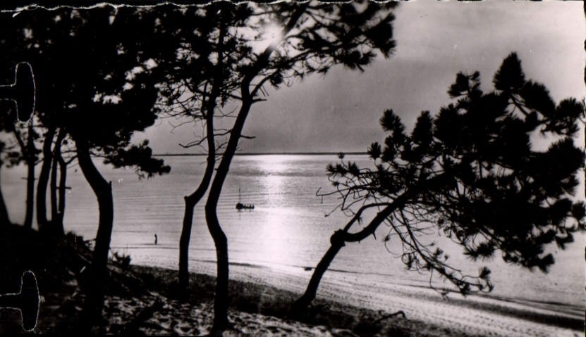 MODERN CARD Arcachon Dimensions Money Sunset