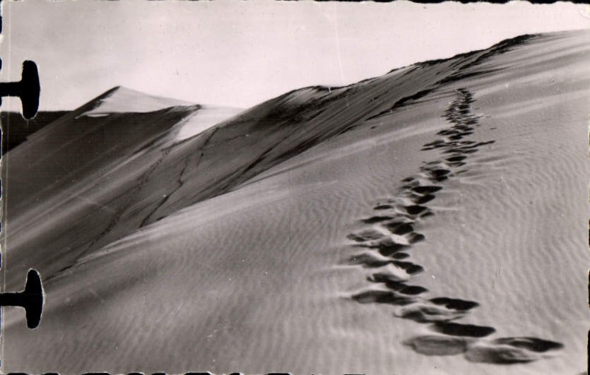 MODERN CARD Basin of Aracachon Pilat beach dunes