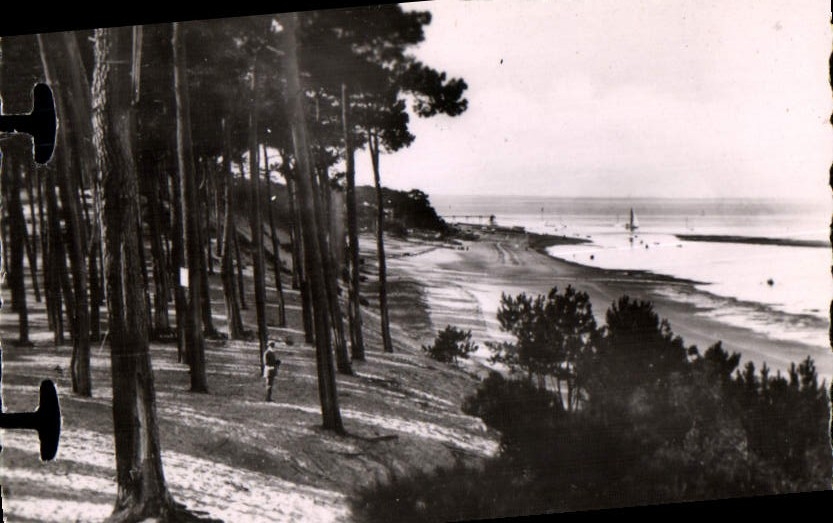 CPM Arcachon Parc des Abatilles la cote vers le Moulleau