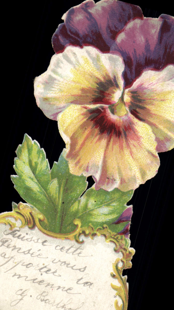 Chromo fleur