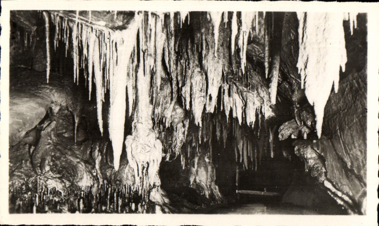 CPM Les Grottes De Betharram Detail de Voute de la Riviere