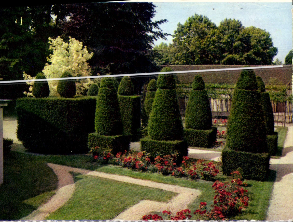 CPM Beaune Une Vue Du jardin Des Malades Avec Les Ifs Tailles