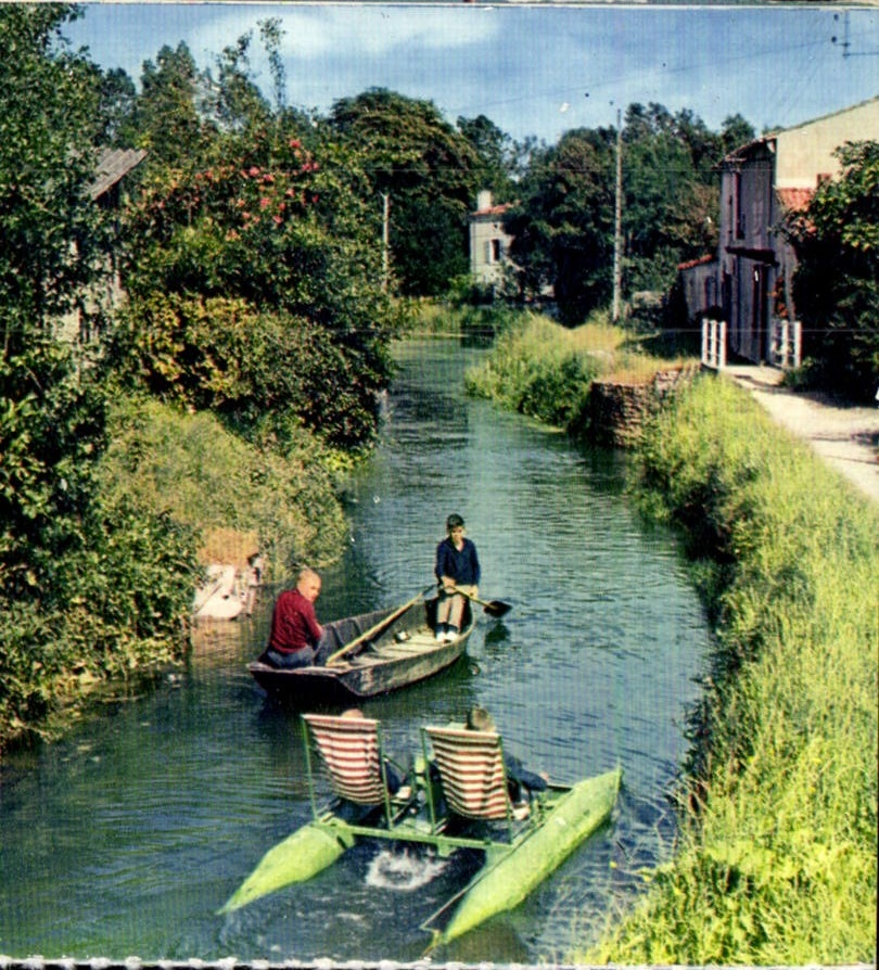 MODERN CARD Conche De Trigale