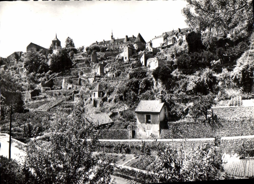 CPM Avallon Vue Generale Et Jardins En Terrasse
