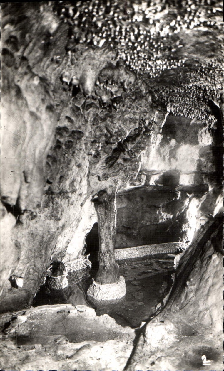CPM Grottes D'Arcy Sur Cure La Fontaine Ste Marguerite