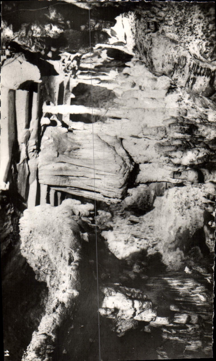 CPM Grottes D'Arcy Sur Cure La Coquille St Jacques