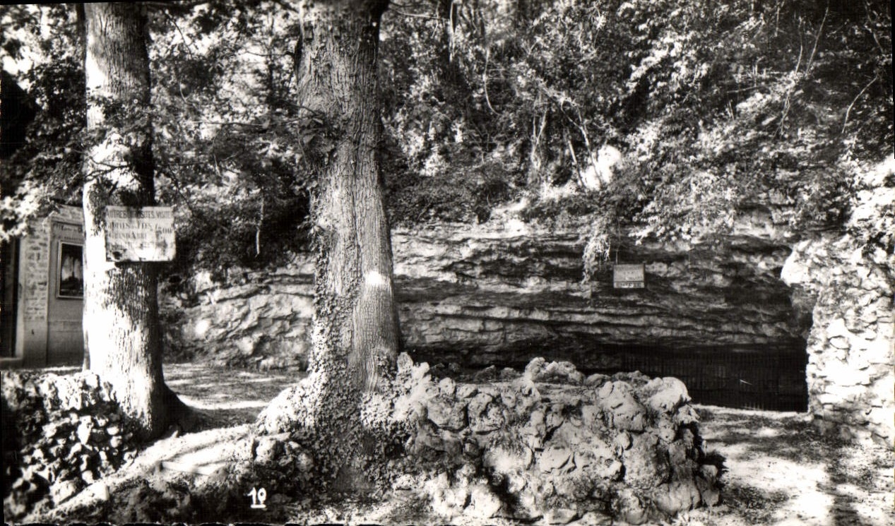 CPM Grottes D'Arcy Sur Cure Entree Des Grottes