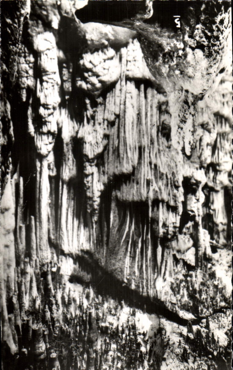 MODERN CARD Caves D' Arcy On Cure Draperies Of the Gothic Living room