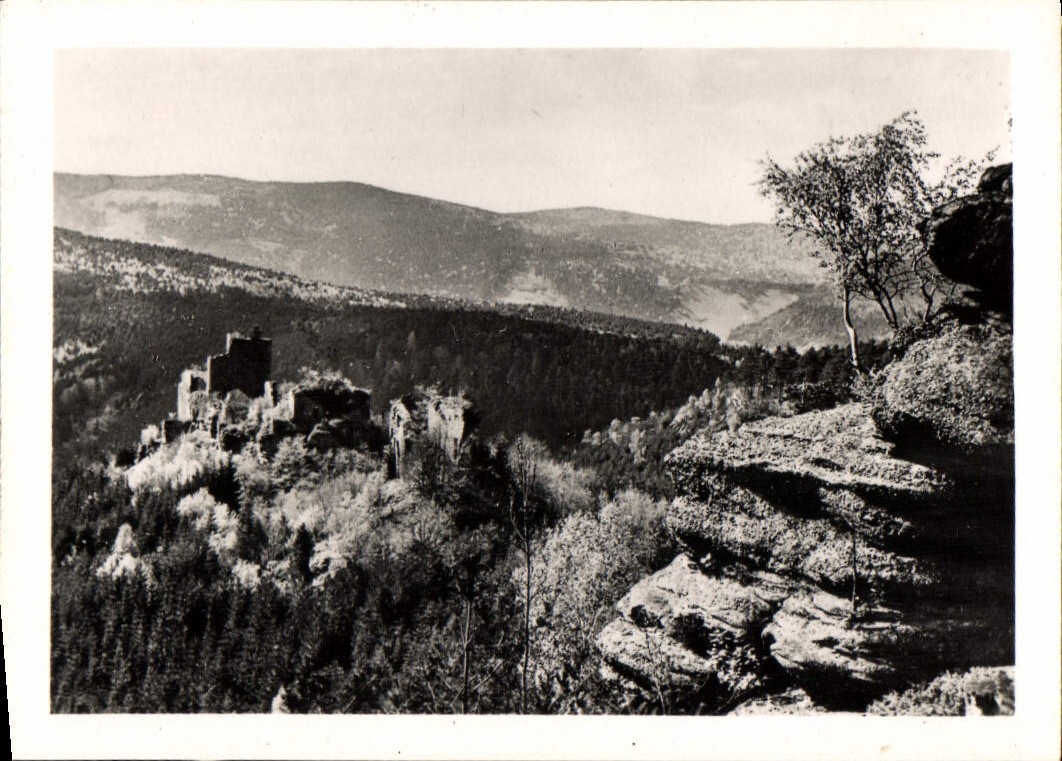CPM Mont Sainte Odile Les Ruines des Chateaux de Dreistein