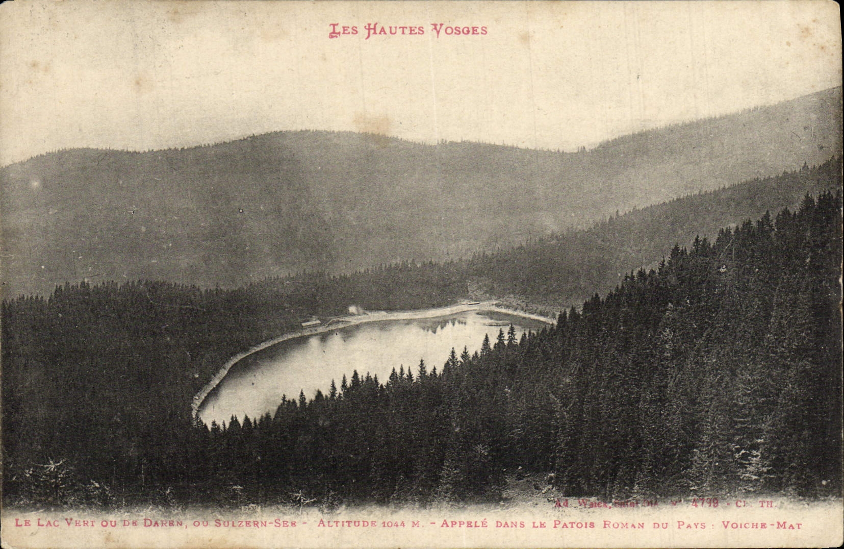 CPA Le Lac Vert Du Le Danes Sulzern See Voiche Mat
