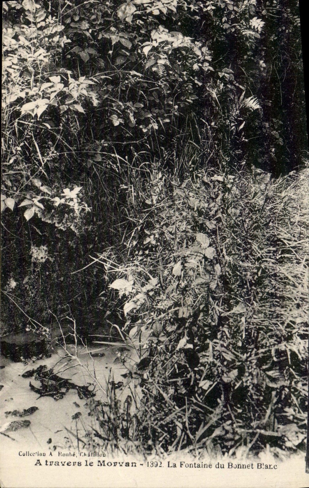 VINTAGE POSTCARD Through Morvan the Fountain of the Blaec Bonnet